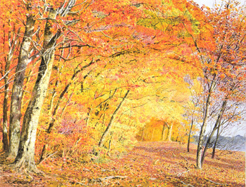 �����Ӱ���ʽ�2015�����β��䡡�����λ���