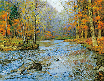 �����Ӱ�꡼�ե�å�