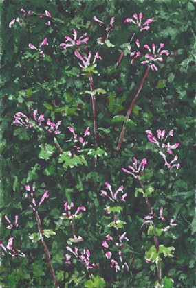 �������4��5��桡Vol.579