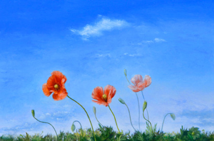 �������4��5��桡Vol.579