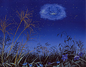 �ְ�ã���ɡ������׳����Ӱ�