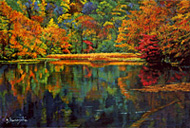 ������ס��վº̽��� 