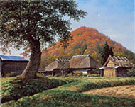 ������ס��վº̽��� 