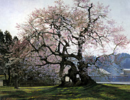 �����Ӱ����ǯ����«�����̣���