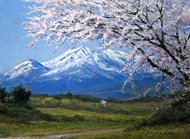 ���������סֲ֤�̯�⻳�ʿ��㸩̯�⾾�����ˡ�