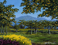 ���״ָ����ַ���͡�