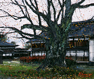 ����ľ�͡�����������Ʋ��