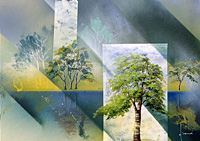 �����ˡֵ�Ų������