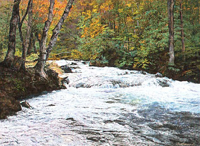 �����Ӱ�ֱ������齩��