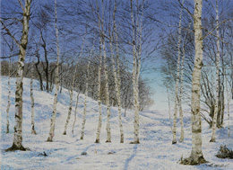 ��˼�����̵�ֲ̡�