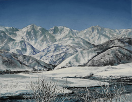 ��˼�����̵�ֲ̡�