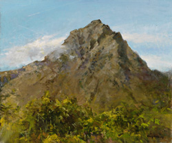 ��¼�����������ɡ�����8��