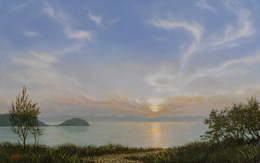 ��˼�����̵�ֲ̡�