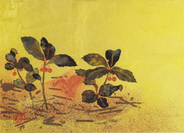 ����͵�ʡ֥��꡼�֤ε֤�������ⳤ��˾���