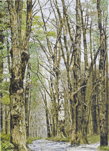 ���Ҷ��ҡֲֲ�����̣�10��