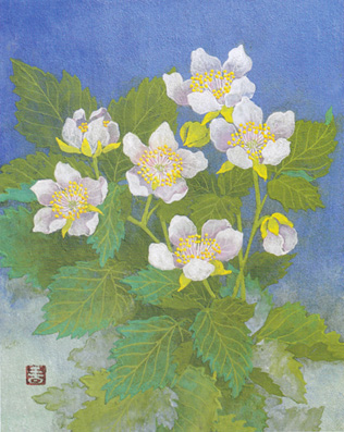 ���״ֹ�ҡ��򤤲֡����ܲ�3��