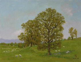 �������סֽդΥե�Ĺ�������ջ�Ϣ���ˡ�����6��