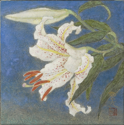 �����ͧ�ֻ�ɴ������ܲ衡19.2��19.2