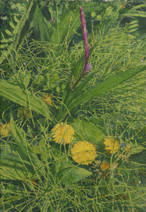 ������� �� �ְ�������2016ǯ7���