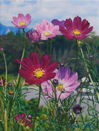  �ְ�������2016ǯ12���