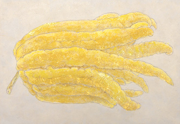  �ְ�������2017ǯ2���