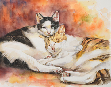 �ְ�������2017ǯ11���