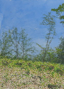  �ְ�������2018ǯ7���