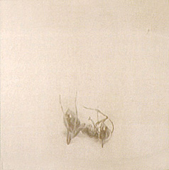 ��ݴ�β񡡡�������Τ����� 