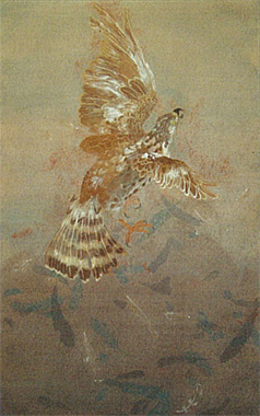 �裲����ݴ�β�Ÿ