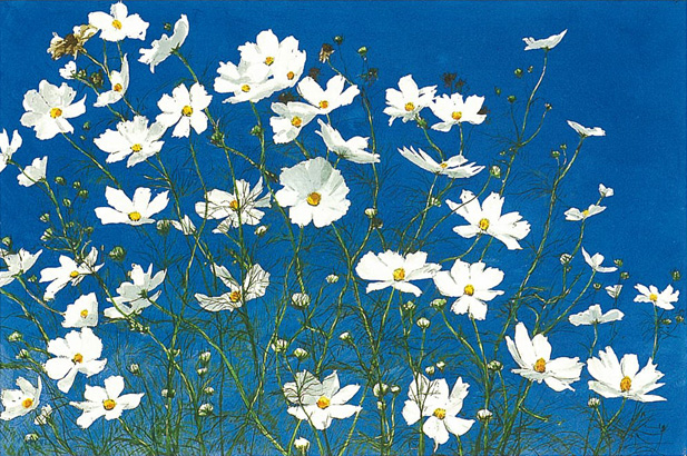 ���ż��δ����̲�Ÿ