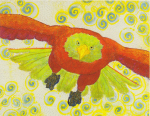 �ե��襷�֥饶����������Ÿ