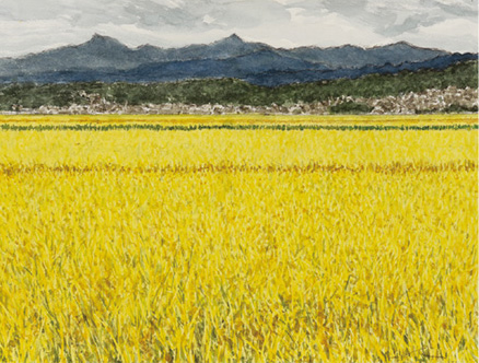 ���ż��δ ��̲�Ÿ