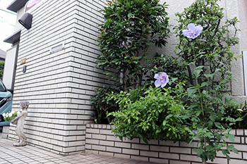 �����ʲҤȲ�ȤȺ��ʤȡ�������������γ��ʲ��ۡˤΤ��������� Vol.2 ����ľ�������ξ��