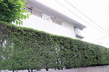 �����ʲҤȲ�ȤȺ��ʤȡ�������������γ��ʲ��ۡˤΤ��������� Vol.2 ����ľ�������ξ��