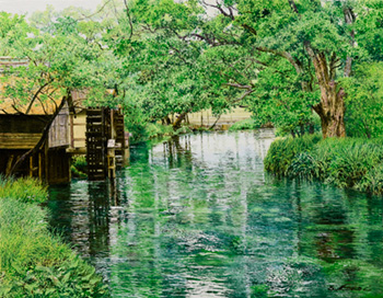 ������� �͵���ȥ��쥯�����Ÿ