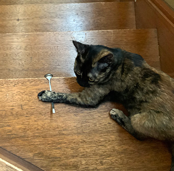 �����ʲҤȲ�ȤȺ��ʤȡ�������������γ��ʲ��ۡˤΤ��������� Vol.2 ����ľ�������ξ��