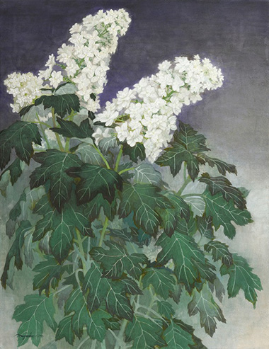 Hope �����ܤμ���ȡ���#3��¼�������