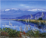 ���硡������鳨��Ÿ