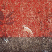 ���硡������鳨��Ÿ