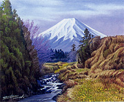 ɴ���ͤ����ѻ�