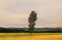 ������鲣�ͥ����ȥޡ����å�