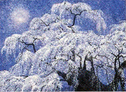 �������Į��Ĺ�����Ĥγ���Ÿ��