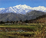 �������Į��Ĺ�����Ĥγ���Ÿ��