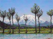 ������� ������Ÿ