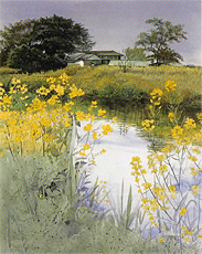 ɴ���ͤ����ѻ�