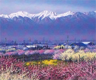 ɴ���ͤ����ѻ�