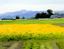 �֣ӣ̤�����̤������ʤ�������ȯ����ǰ���������ʡ��β�Ÿ