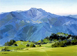 �֣ӣ̤�����̤������ʤ�������ȯ����ǰ���������ʡ��β�Ÿ