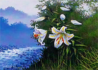 ���� ����κ�ŵ���դ�̤�䤹�餮�����ʡ�