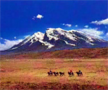 ���� ����κ�ŵ���դ�̤�䤹�餮�����ʡ�